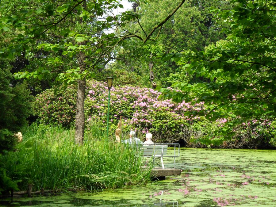 Teich im Schlosspark Großharthau