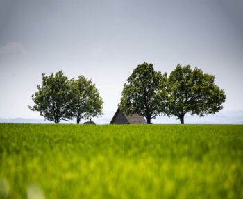 Rastplatz auf dem Tanneberg bei Ohorn