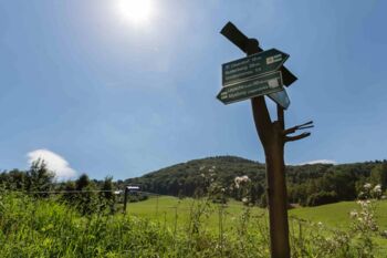 Wanderwegweiser in der Oberlausitz © Markus_Balkow