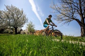 Radrouten in der Westlausitz