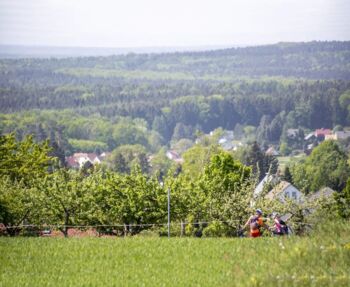 Blick auf das Westlausitzer Hügel-und Bergland