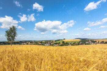 Blick auf Bretnig-Hauswalde