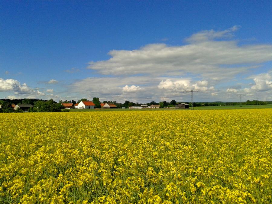 Blick auf den Arnsdorfer OT Wallroda