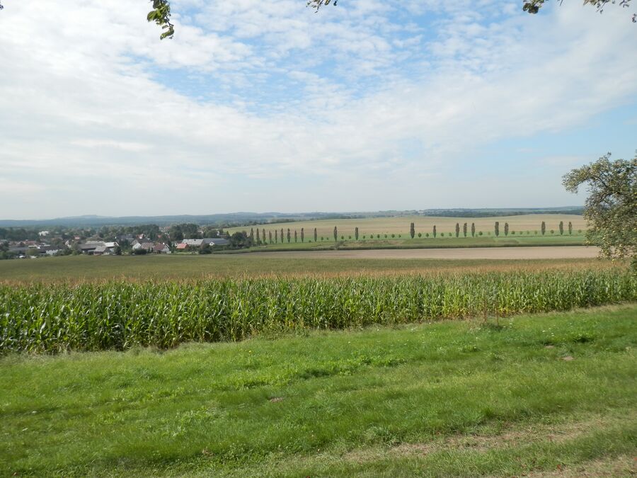 Blick vom Tanneberg