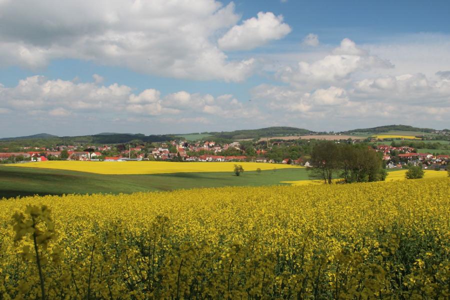 Blick auf Pulsnitz