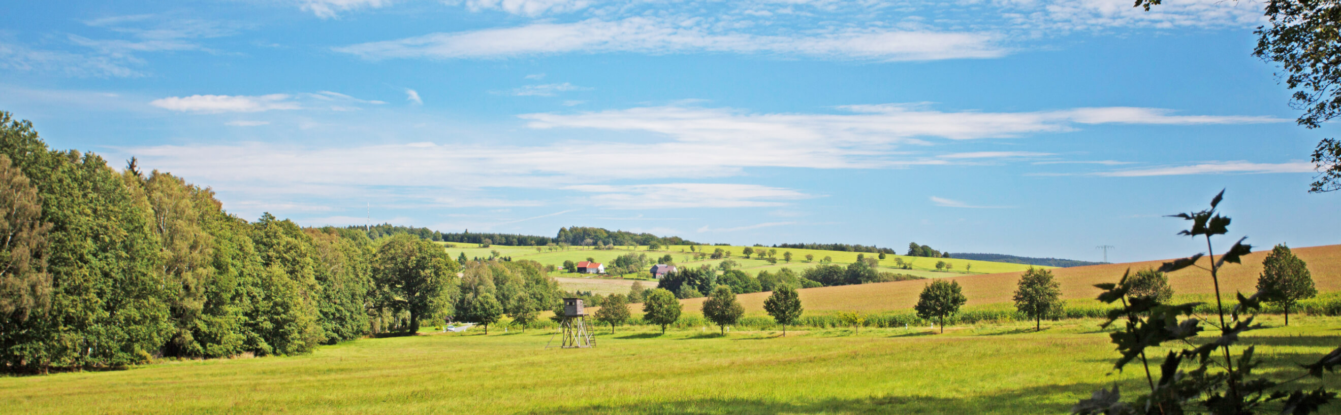 Blick auf Rammenau