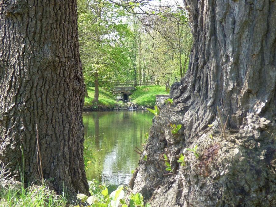 Blick in den Wachauer Schlosspark