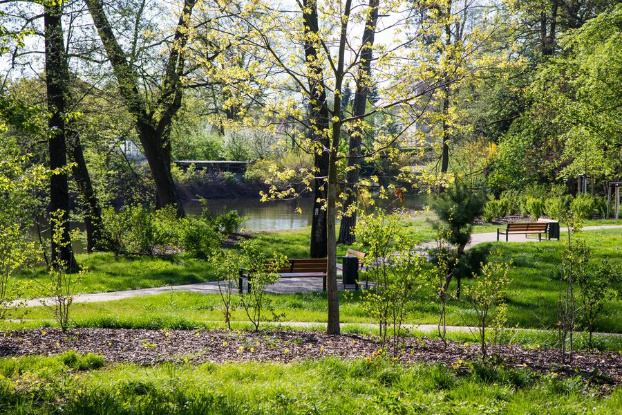 Schlosspark Wachau