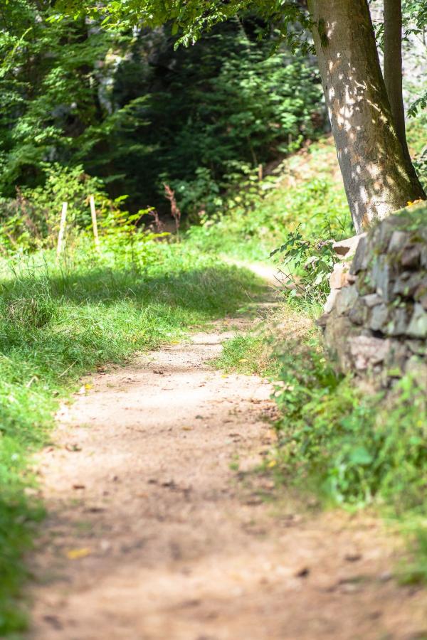 Wanderweg im Seifersdorfer Tal